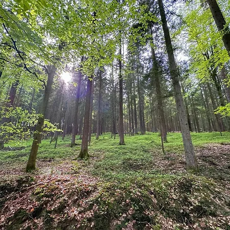 Seeblick - Tiny Nr 1 Neunburg vorm Wald